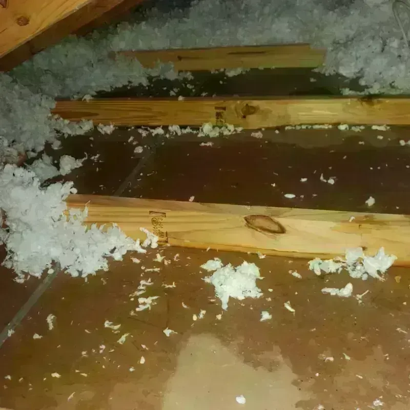 Attic Water Damage in Antlers, OK