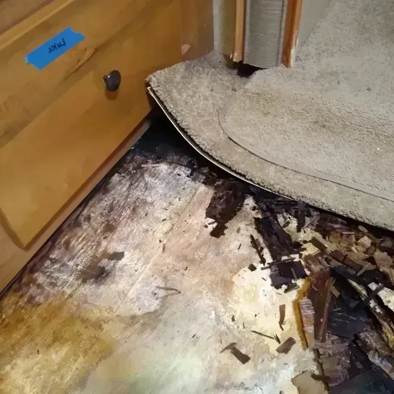 Wood Floor Water Damage in Antlers, OK